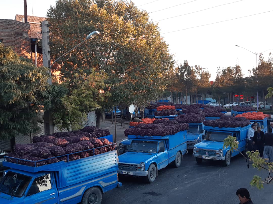 پای درد دل پیازکاران بناب