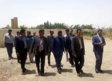 احداث کارخانه تولید خوراک دام با ظرفیت ۵۰ تن در بناب