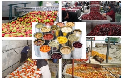 فعالیت ۸۵۰ واحد تبدیلی و غذایی در آذربایجان شرقی