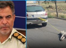 فرد حیوان آزار در بناب دستگیر و تحویل مراجع قضایی شد