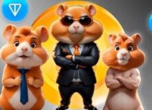 با «همستر کامبت» پولدار می‌شویم؟/ این روزها فضای مجازی در تسخیر یک همستر است